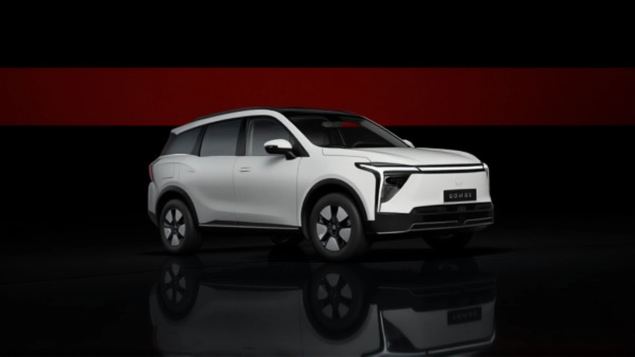 What’s Next? The Timeline